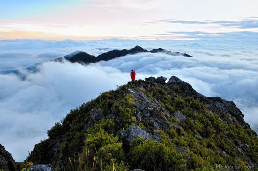 Cerro Chirripó