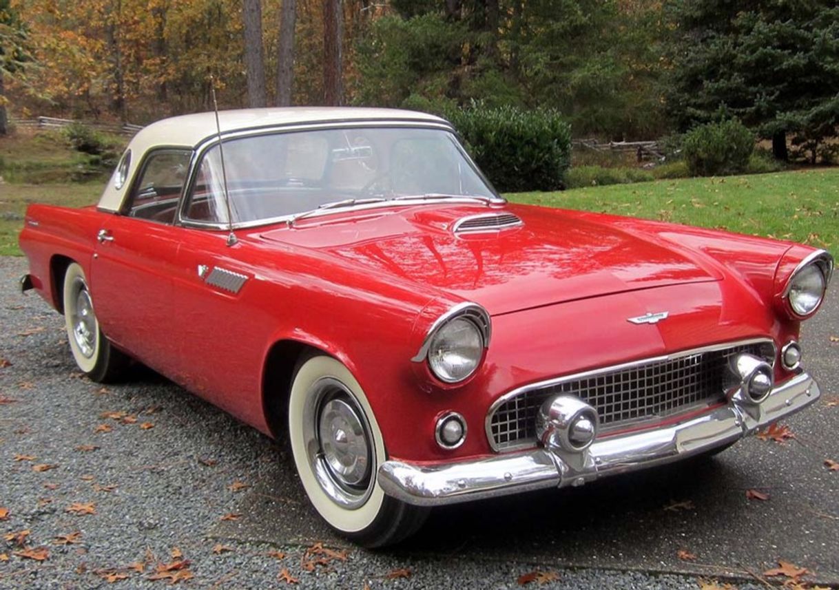 Moda Thunderbird 1955