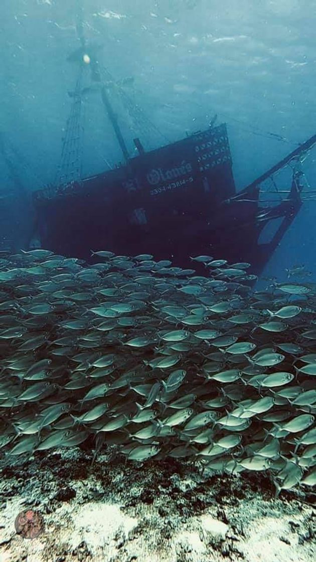 Lugar Cozumel