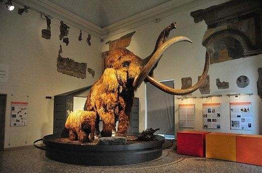 Museo Civico di Scienze Naturali E. Caffi di Bergamo