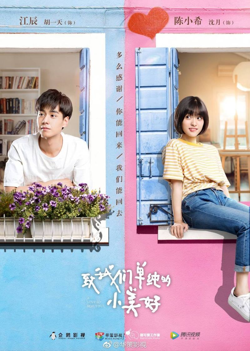 Serie Un amor tan hermoso