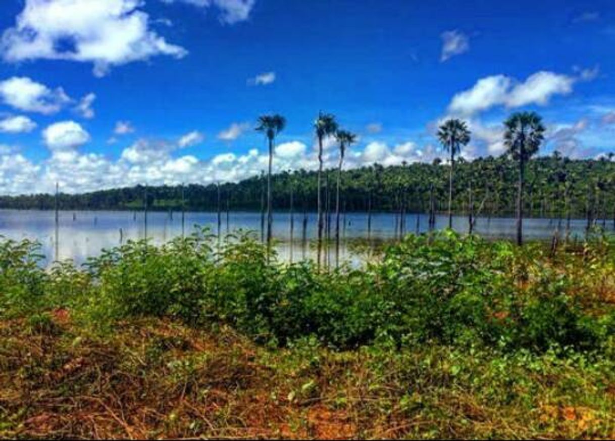 Places Caiçara