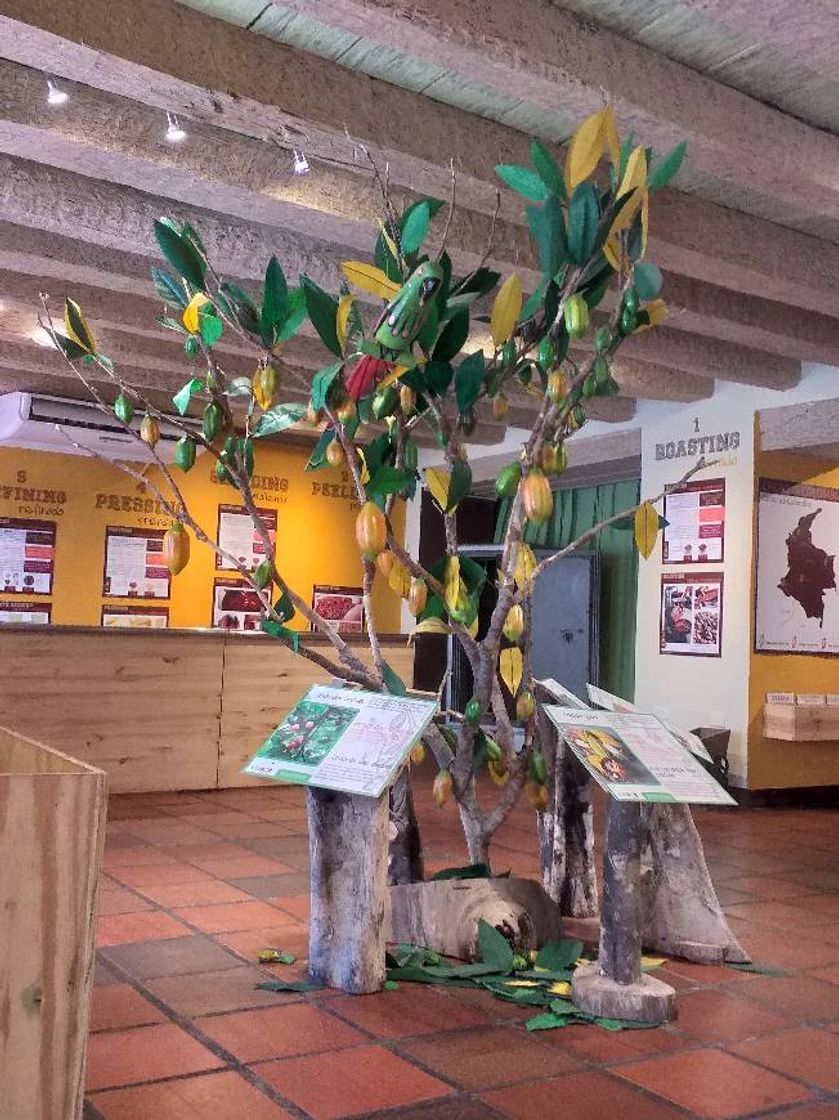 Place Museo Del Cacao (Choco Museo)