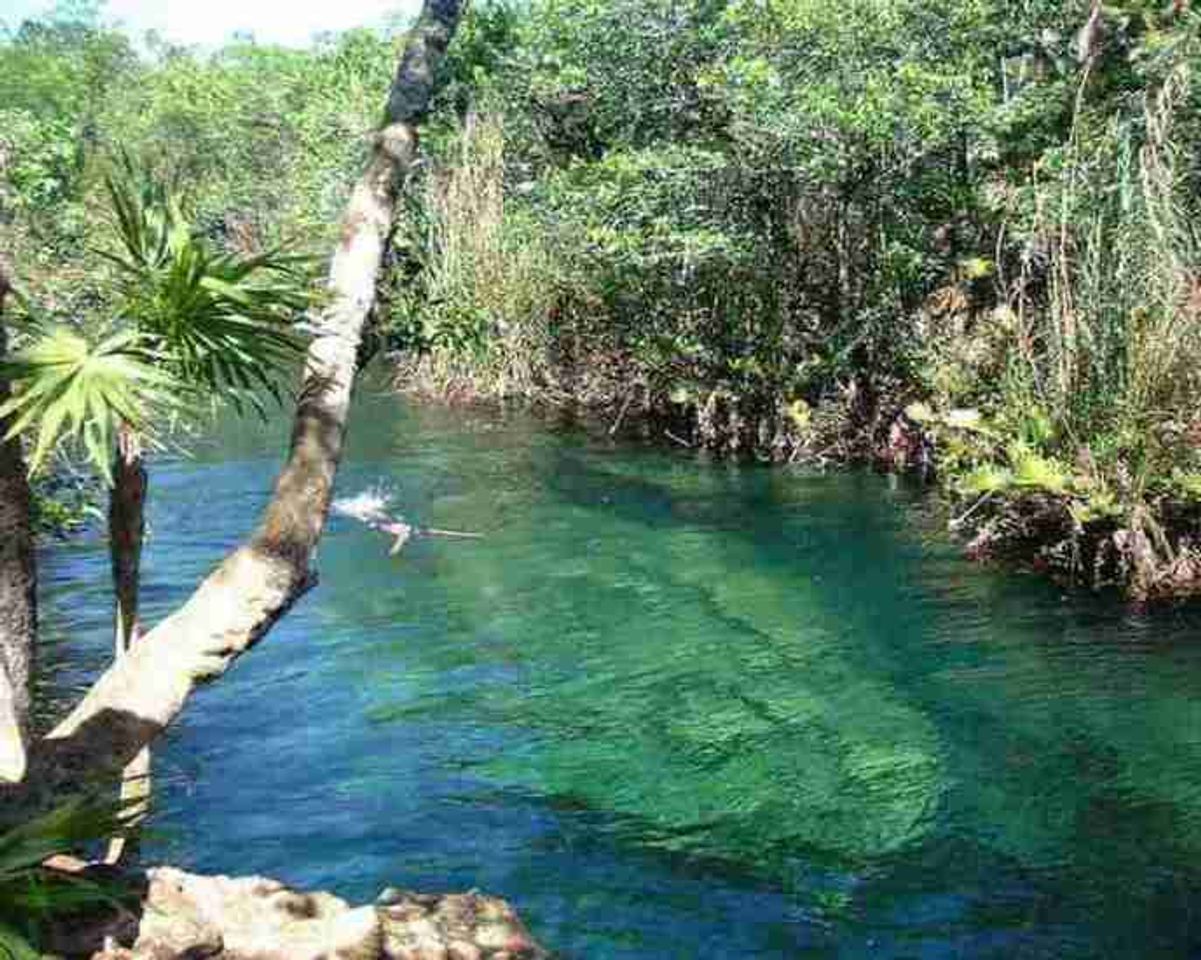 Calle Cenote Escondido