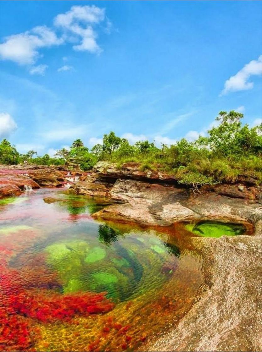 Lugar Caño Cristales