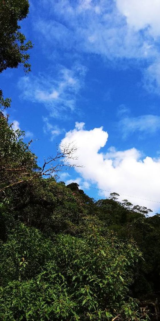 Social Céu