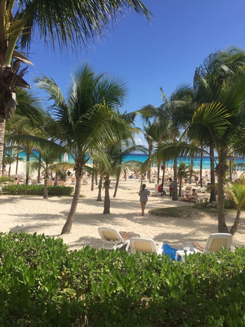 Lugar Riu Playacar