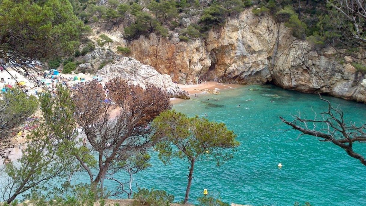 Place Cala Pola