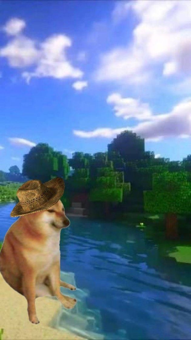 Fashion Doguinho observando a paisagem do Minecraft 🐶🎮