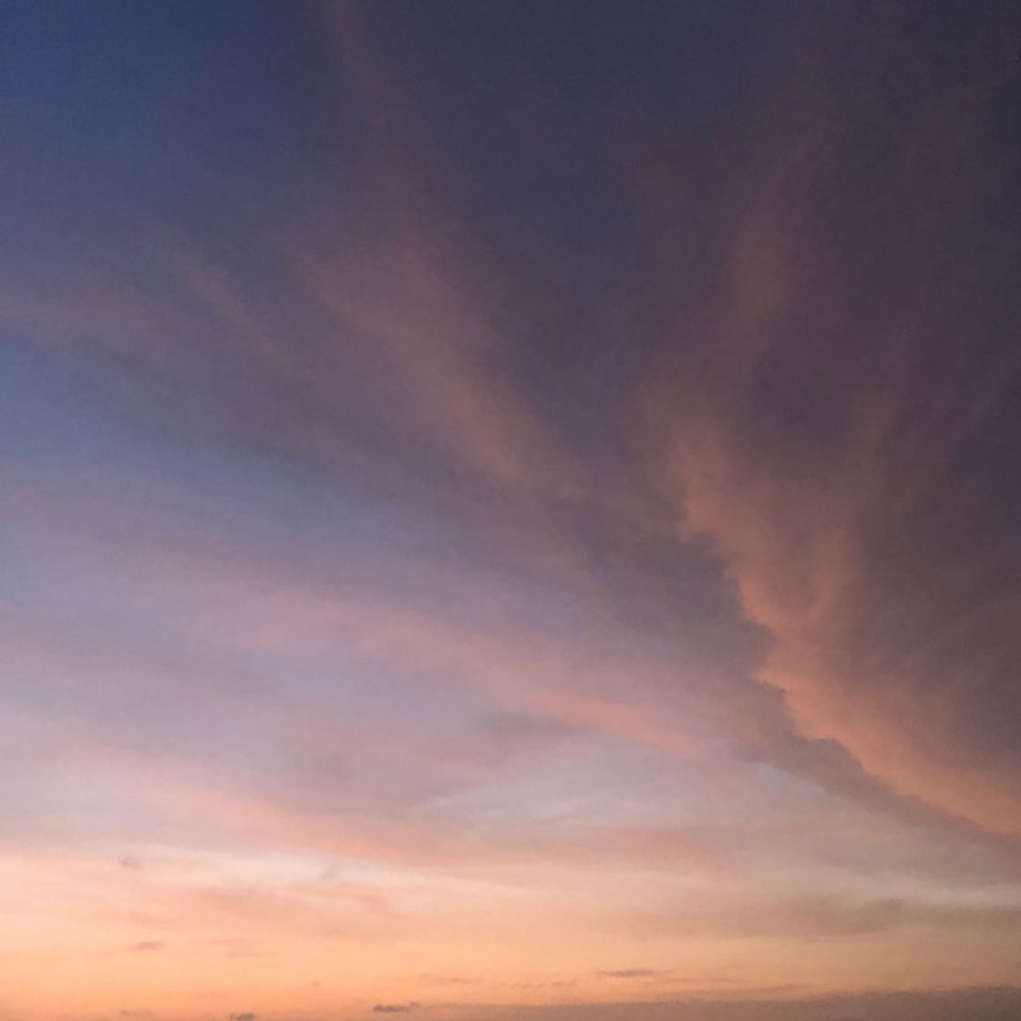 Canción What's The Point?