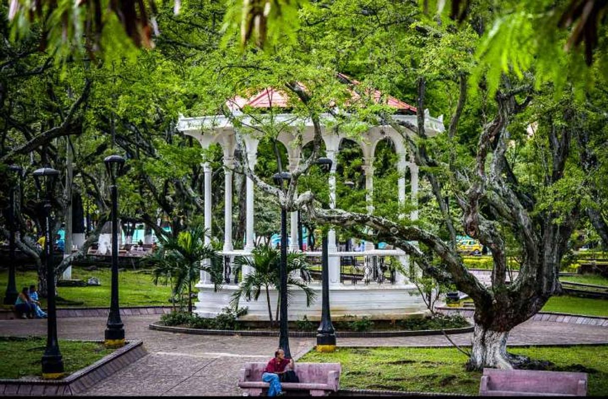 Place Parque de La Retreta - Cali, Colombia

