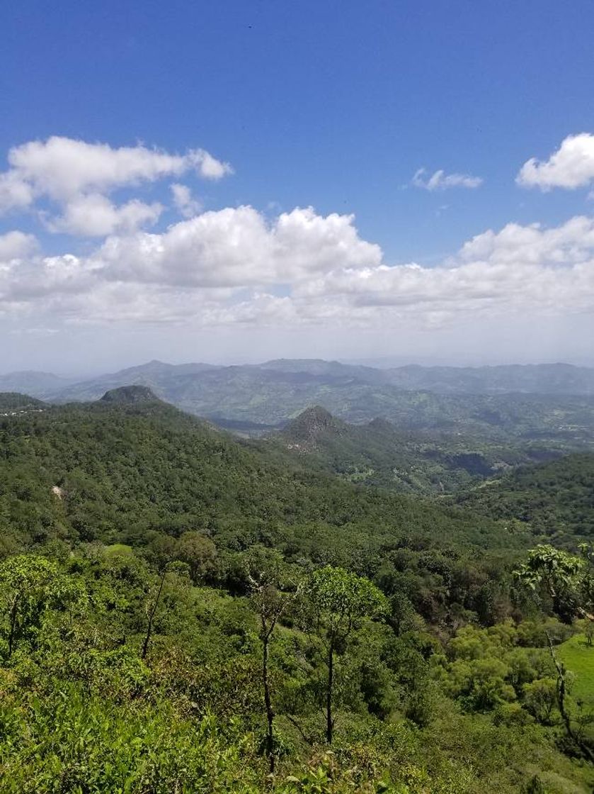 Place Tisey Estanzuela Natural Reserve