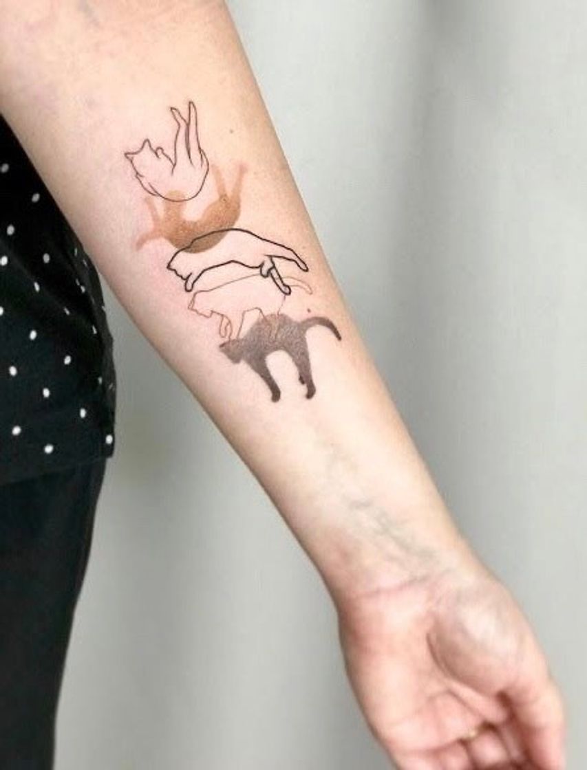 Social Tatto Gato