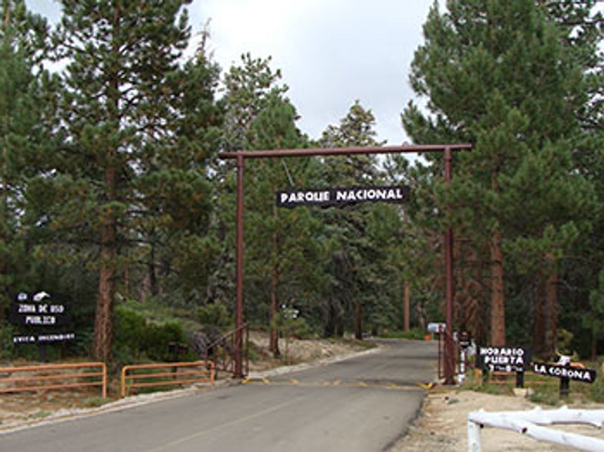 Lugar Parque Nacional Sierra de San Pedro Mártir