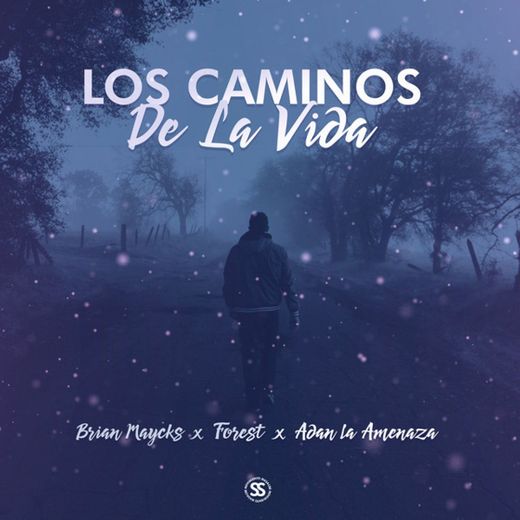 Los Caminos de la Vida