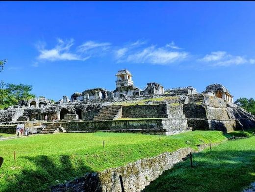 Carretera Zona Arqueológica " Palenque "