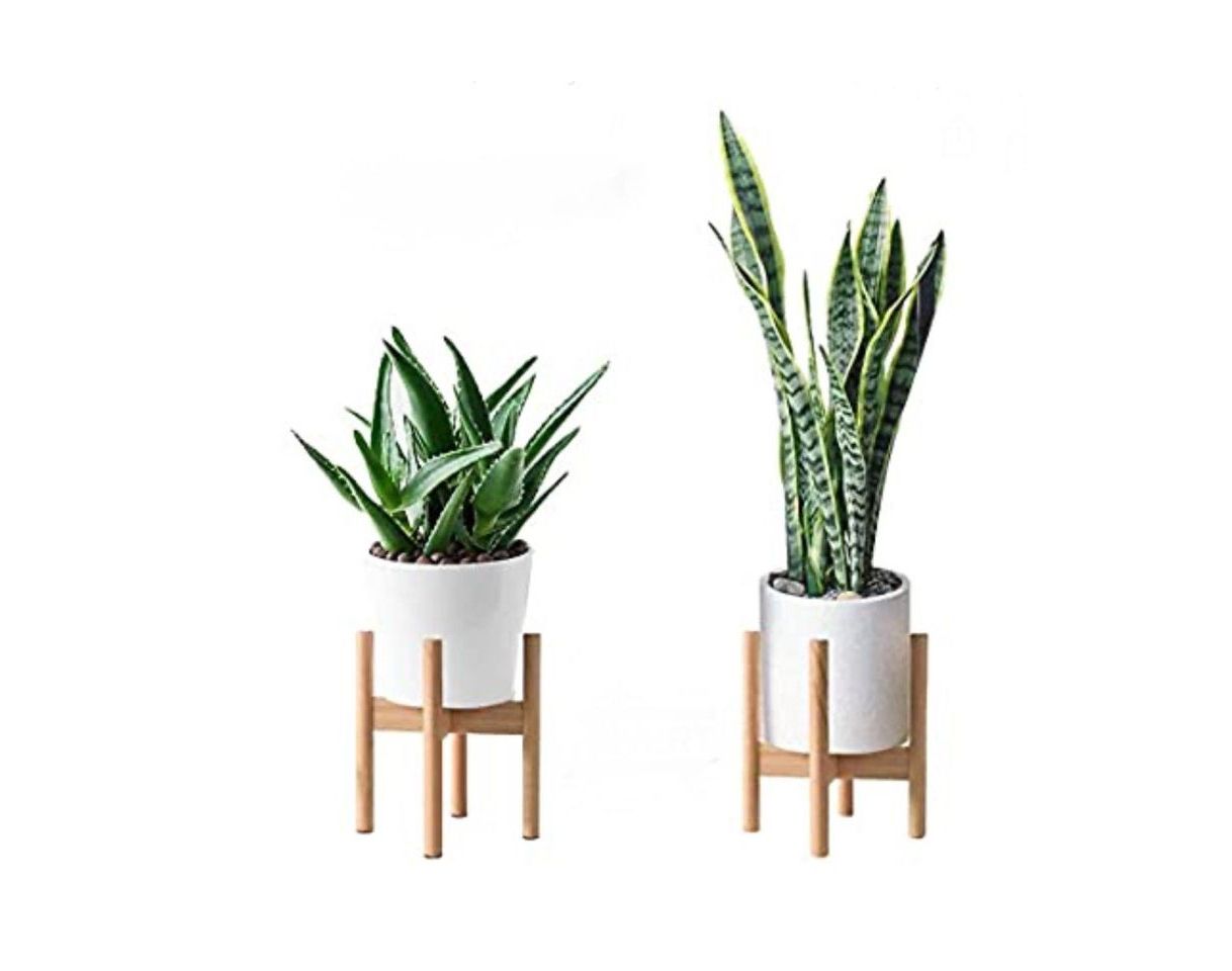 Social Suporte para Plantas 