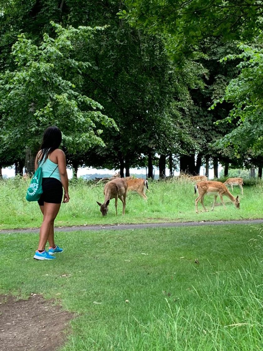 Place Phoenix Park