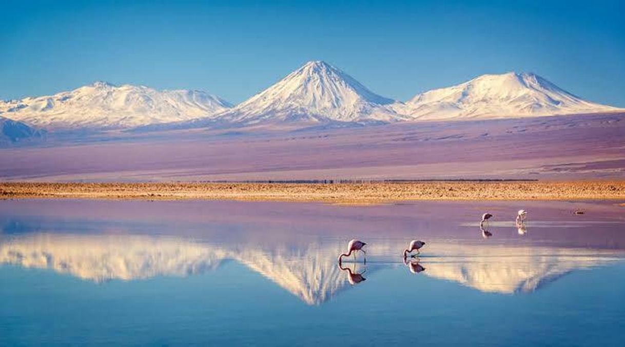 Place Desierto de Atacama