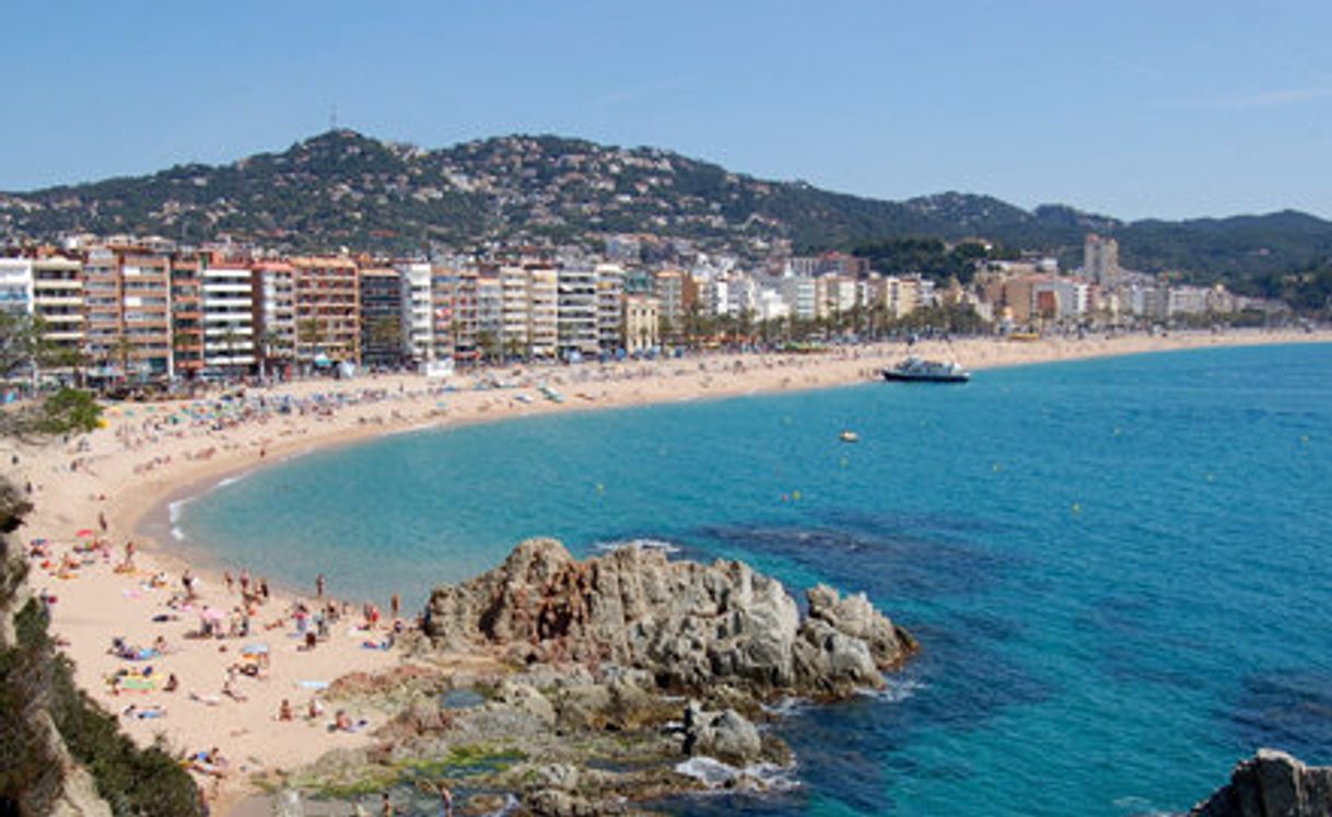 Local Lloret de Mar