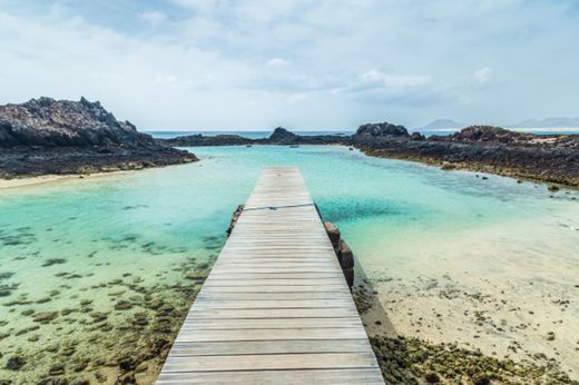 Isla de Lobos