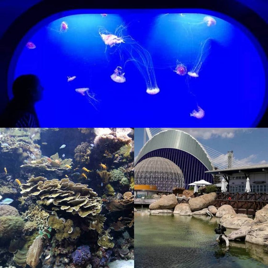 Lugar Oceanográfico