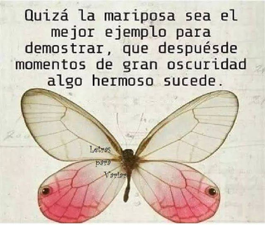 Moda 🐛🦋