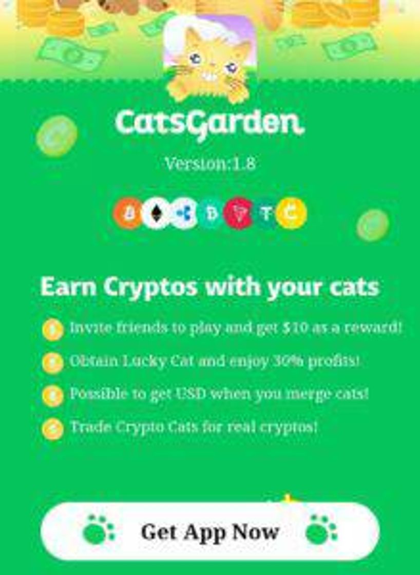 App HOTEL CATS CATTY GARDEN - Updated 2020 Prices & Reviews ...
