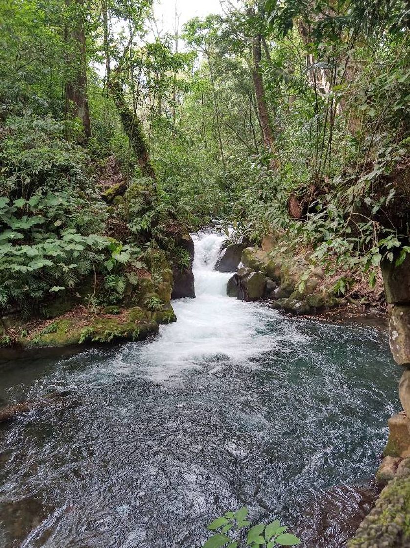 Lugar Parque Nacional