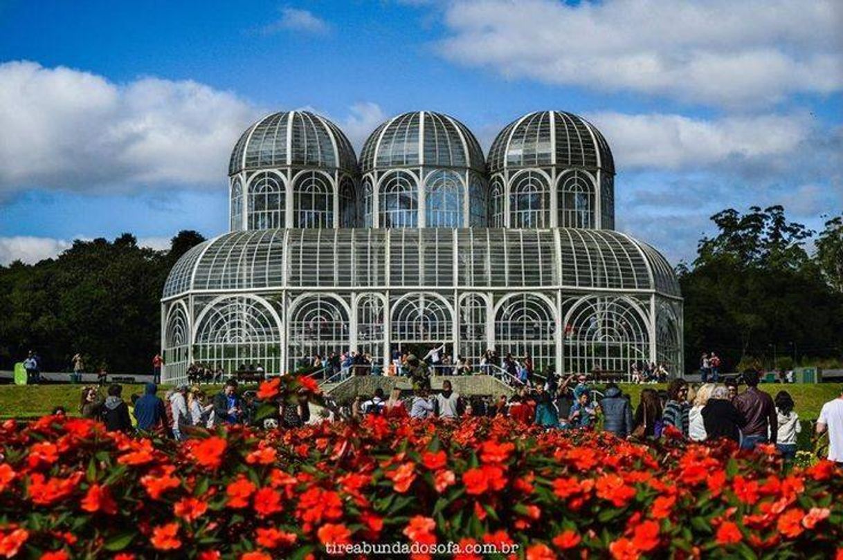 Lugar Jardim botânico 