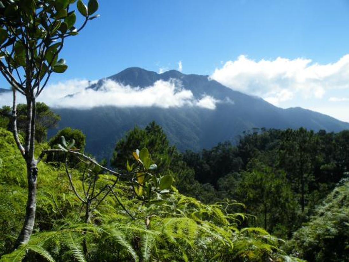 Lugar Turquino