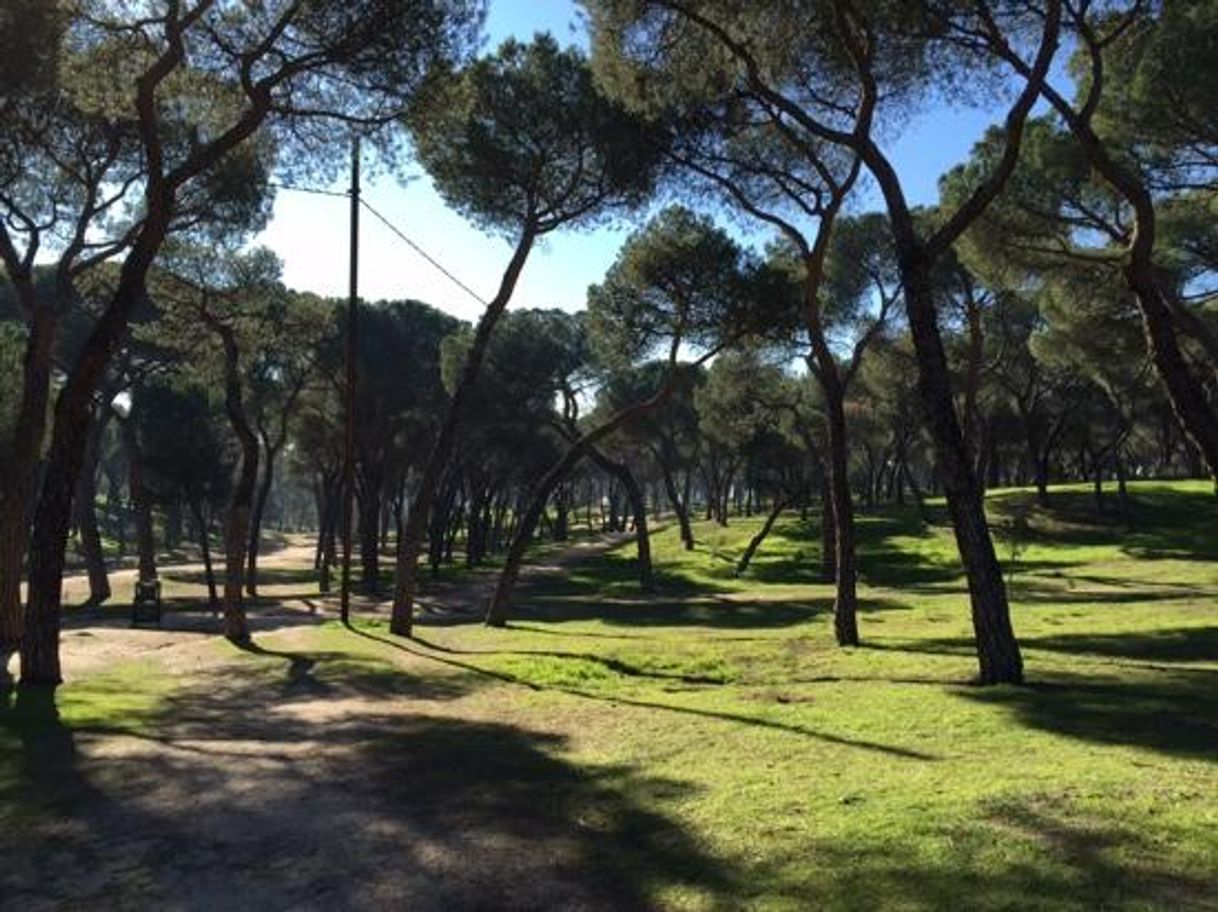 Place Dehesa de la Villa