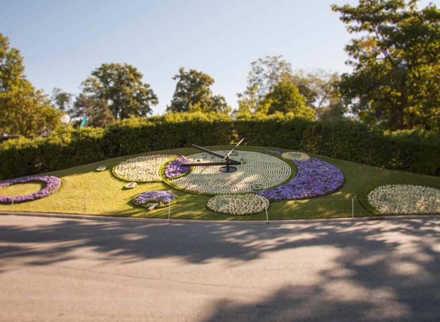 Lugar Cronometró floral 