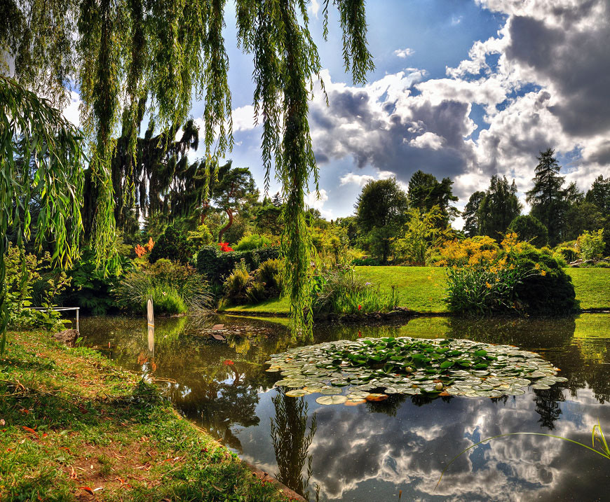 Lugar Jardín Botánico   