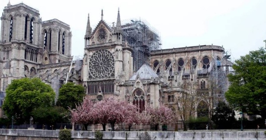 Lugar Catedral de Notre Dame