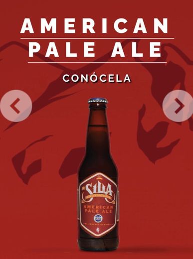 Cervecería La Silla: Inicio