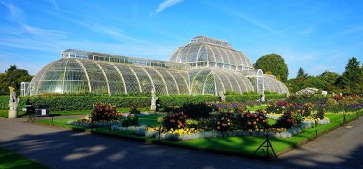 Place Royal Botanic Gardens, Kew