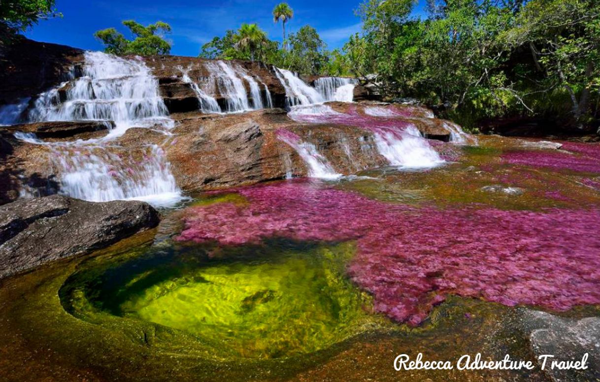 Lugar Caño Cristales