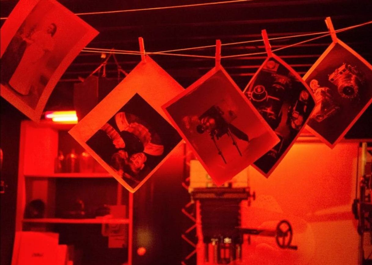 Social Revelado Analógico 