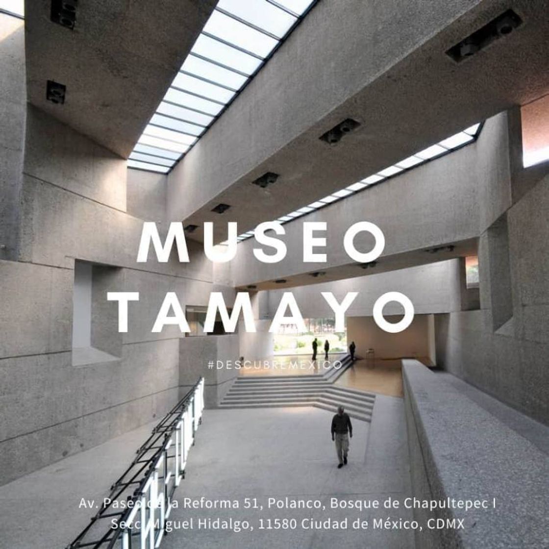 Lugar Museo Tamayo