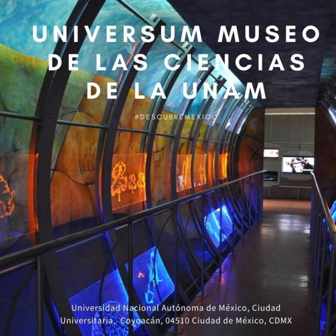 Lugar Universum