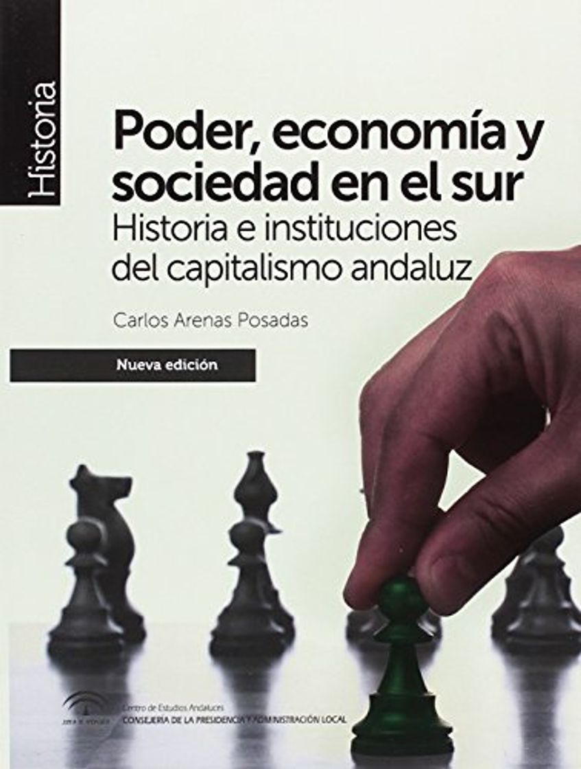 Book Poder, economía y sociedad en el sur