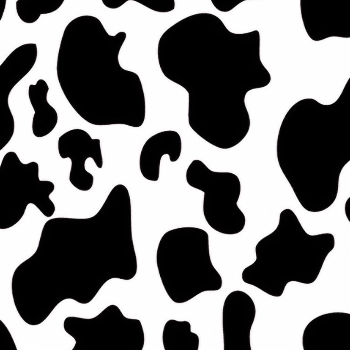 Music Greetings from Califournia