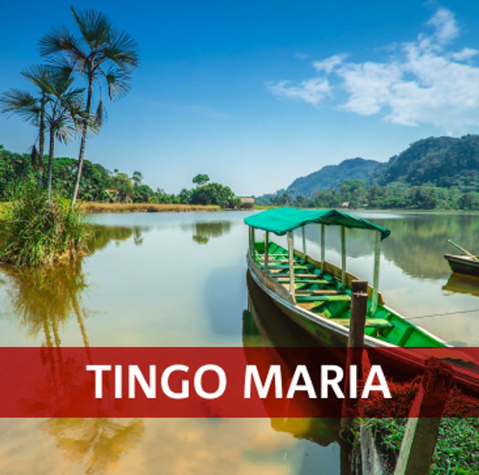 Lugar Tingo Maria