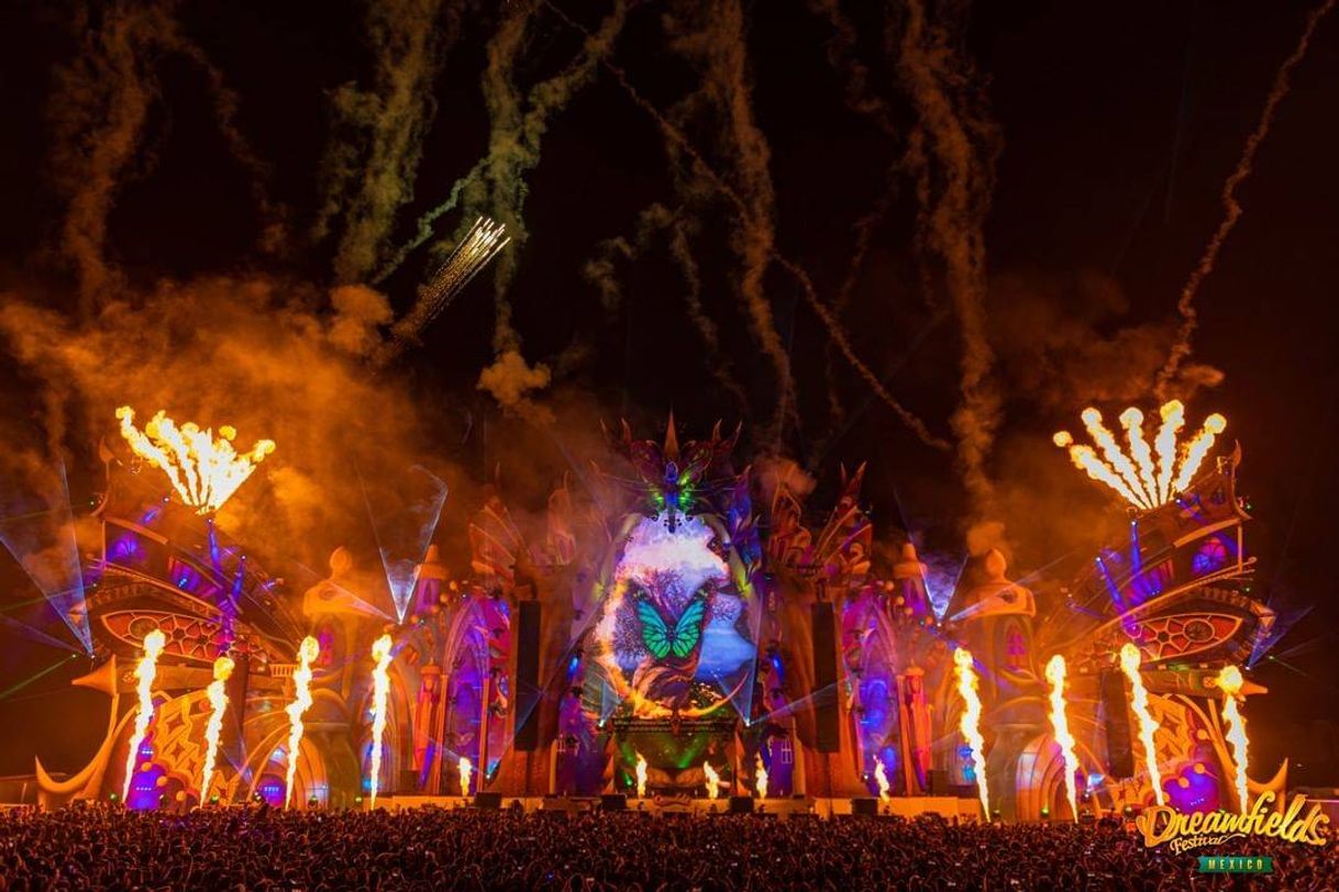 Social Dreamfields México, festival de música electrónica🔮