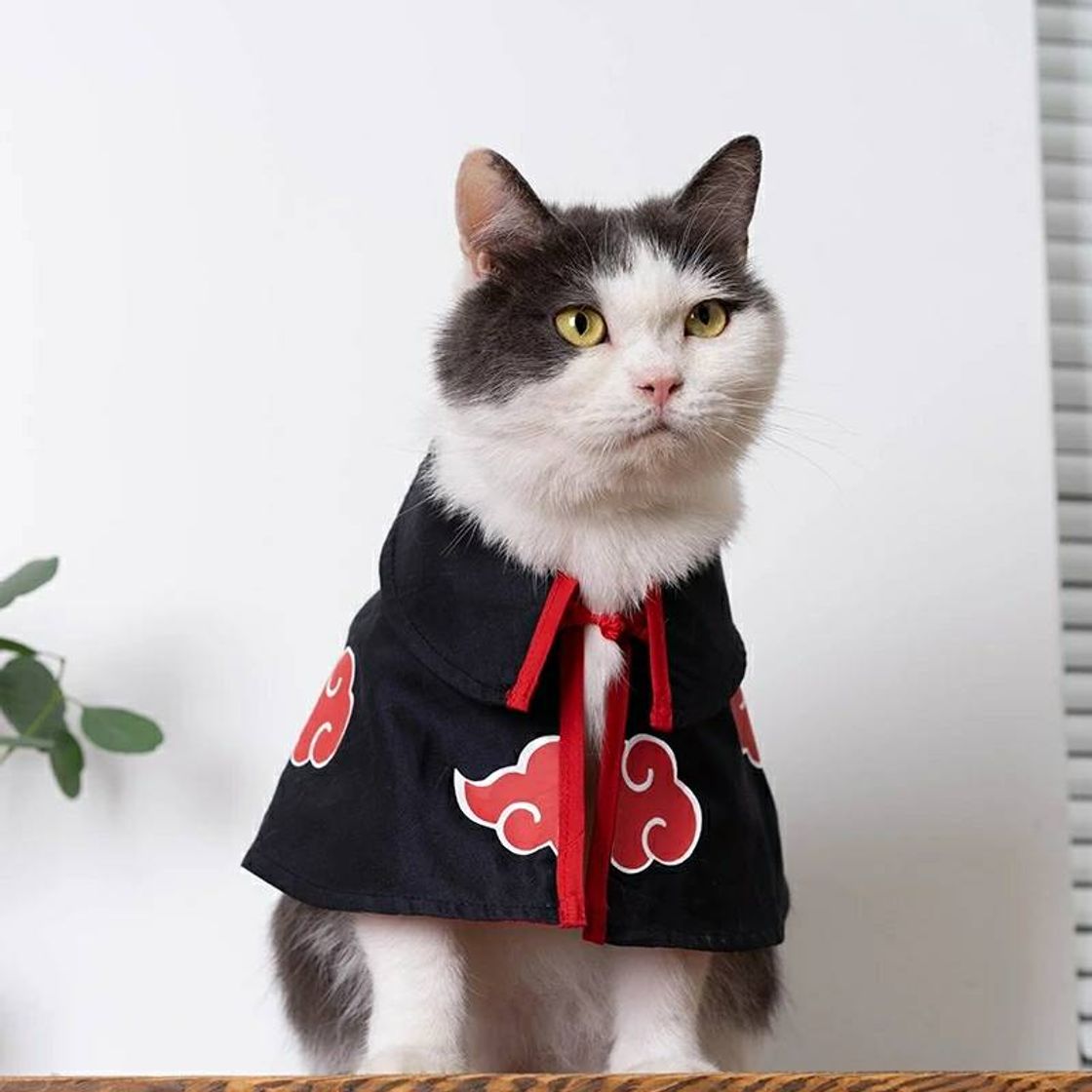 Producto CAPA para gato Naruto Akatsuki