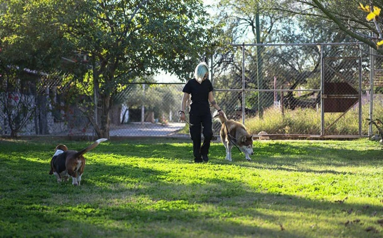 Social Hacienda de los Perros
