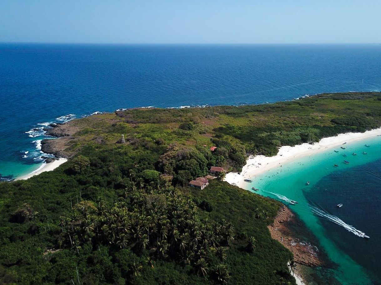 Lugar Isla Iguana