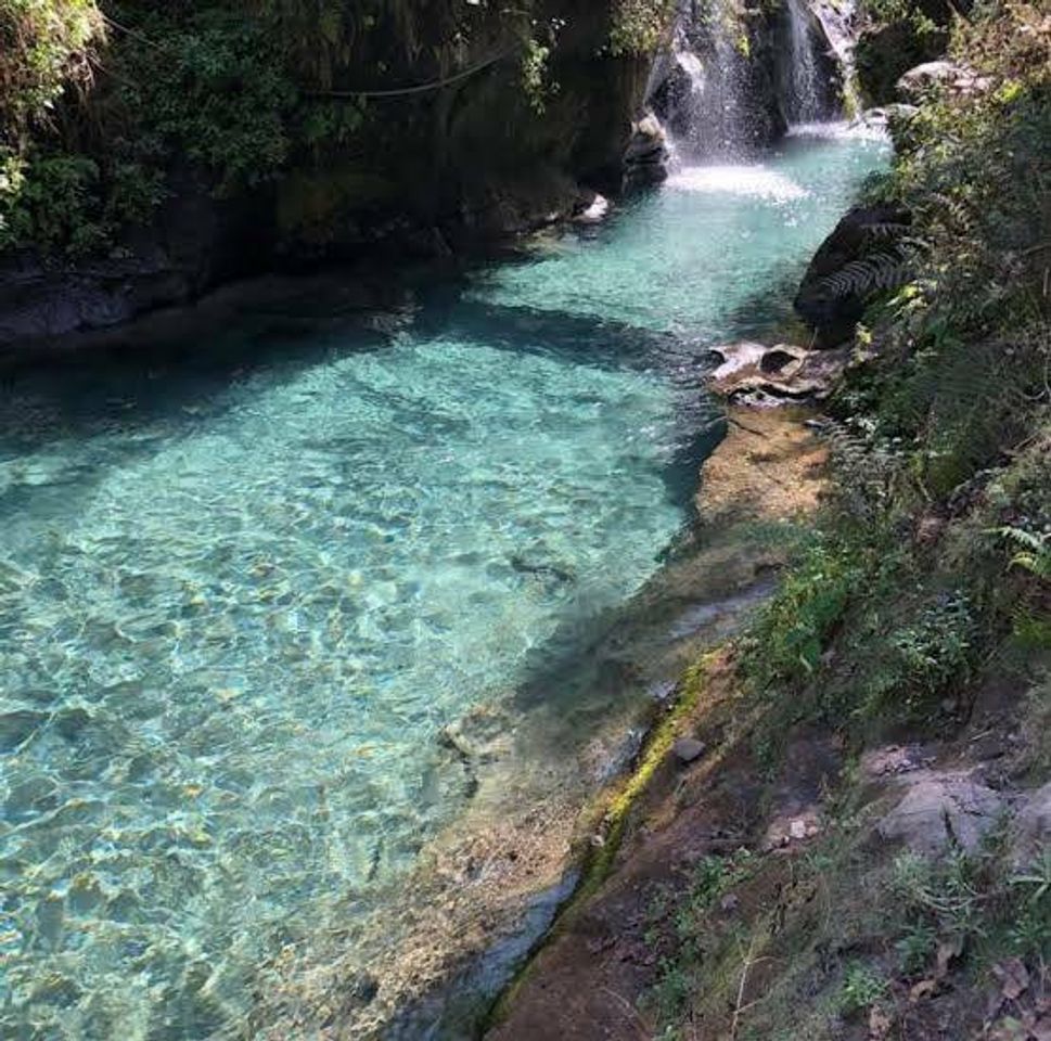 Place Reserva Ecologica Rio de Pancho Poza