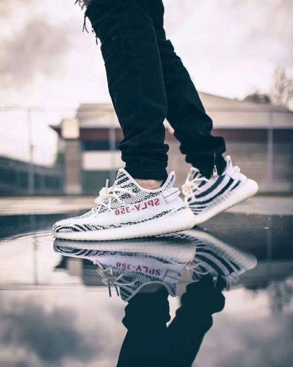 Yeezy Zebra